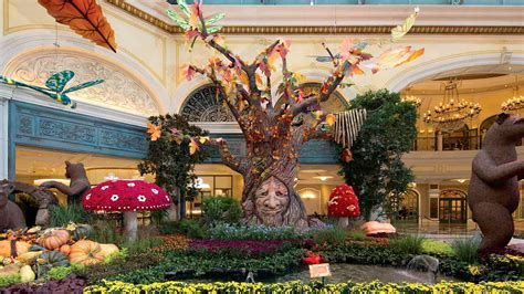 Bellagio Conservatory & Botanical Gardens – Garden Review | Condé Nast ...