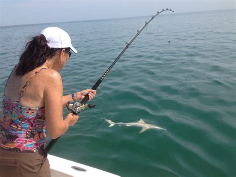 Florida Shark Fishing Charters | Captain Jim Ross