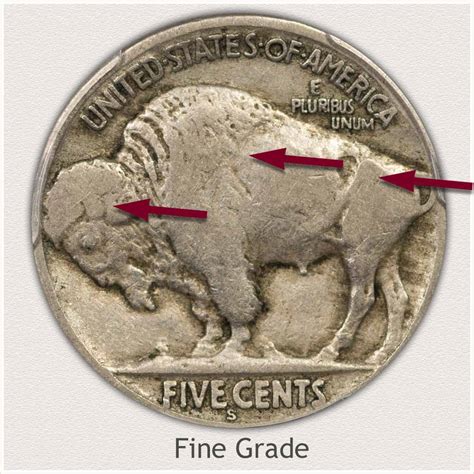 Buffalo Nickel Value | Discover Their Worth