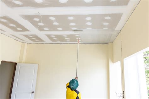 Best Paint Roller For Stipple Ceiling | Shelly Lighting