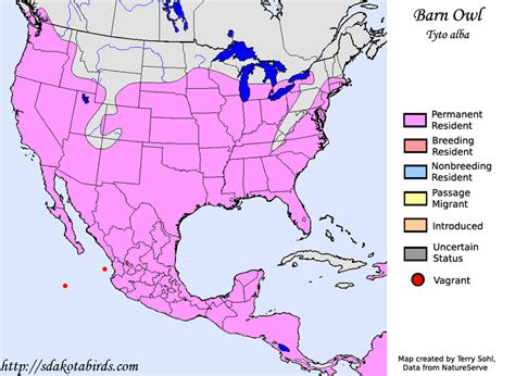 Barn Owl - Species Range Map