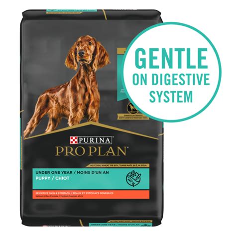 Purina Pro Plan Probiotic, Sensitive Stomach Dry Puppy Food, Sensitive ...