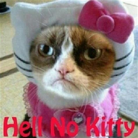 a grumpy cat, hello kitty - Dump A Day