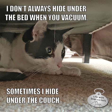 I Don't Always Hide Under The Bed When You Vacuum # ...