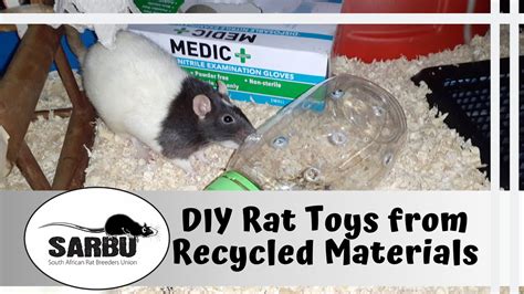 Homemade Pet Rat Toys