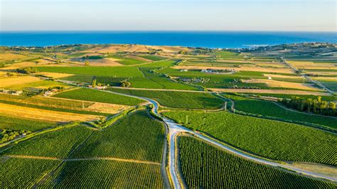 Sicilian Wine - Italian Wine Region