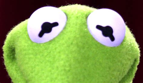 Kermit the Frog's eyes | Muppet Wiki | Fandom powered by Wikia