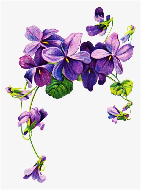 Purple Flower Border Clip Art