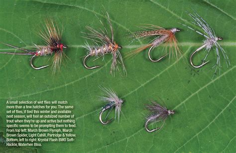 Wet Flies as Imitations | Fly Tyer