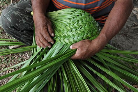 Conserving nature and culture through Indigenous crafting in Guyana ...