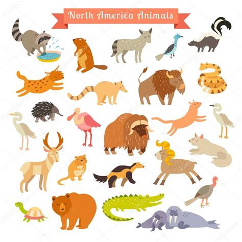 North America animals — Stock Vector © coffeee_in #95724602