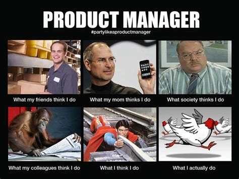 12 best Project Manager images on Pinterest | Ha ha, Funny pics and ...