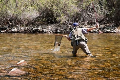 Fly Fishing Nets Are an Essential Piece of Angling Gear