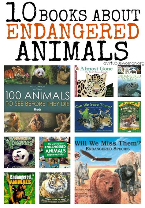 We The Animals Book