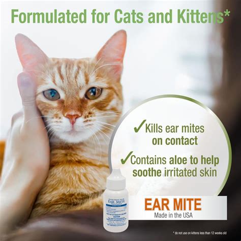 Veterinary Treatment For Ear Mites In Cats