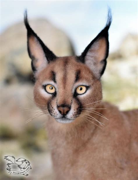 caracal cat price in pakistan - Boisterous E-Journal Stills Gallery