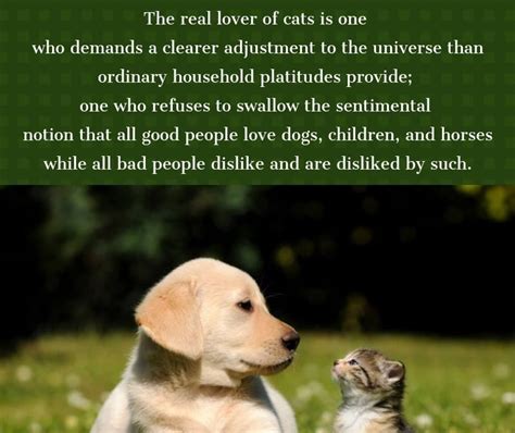 18 Dog And Cat Funny Quotes – VitalCute