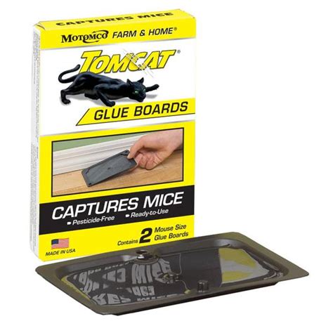 Tomcat 2-Pack Mouse Glue Boards - 32419 | Blain's Farm & Fleet