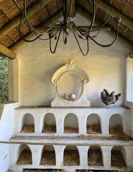 34 Epic Chicken Roost Ideas For A Lovely Chicken's Bed