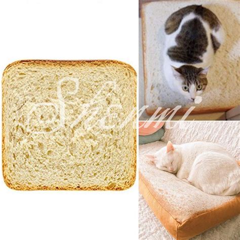 25 HQ Images Cat Bread Loaf Bed : Riley Black On Twitter Cat Loaf In A ...