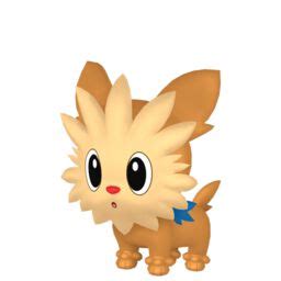 Lillipup Pokédex: stats, moves, evolution & locations | Pokémon Database