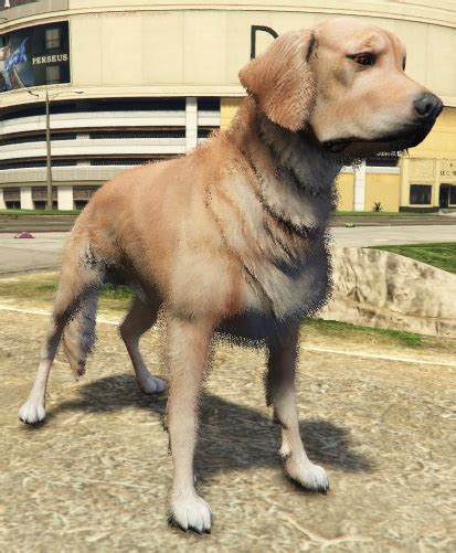 Dogs | GTA Wiki | Fandom