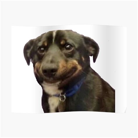 "awkward dog smile meme" Poster by syracuse2 | Redbubble