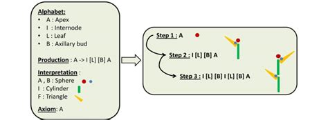 simplified representation of the L-system functioning | Download ...