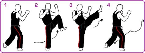 physical-arts.com -training - front kick (right stance)