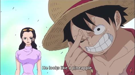 Could marco's devil fruit look like a pineapple? | One Piece Amino