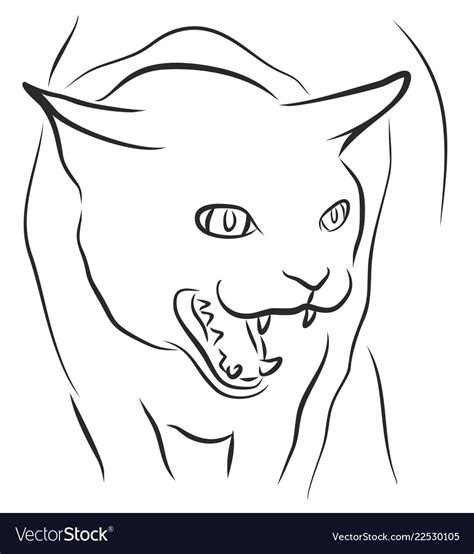 Sketch of angry cat Royalty Free Vector Image - VectorStock