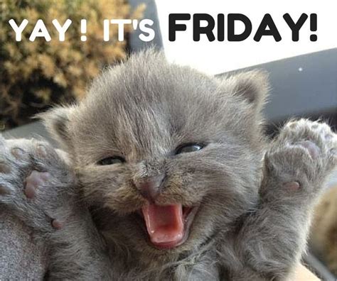 Yay It's Friday Pictures, Photos, and Images for Facebook, Tumblr ...