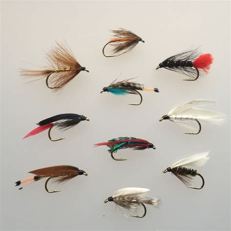 Wet Flies Large Sizes 6-8 Pack of 16 #20 | BestCity Tackle