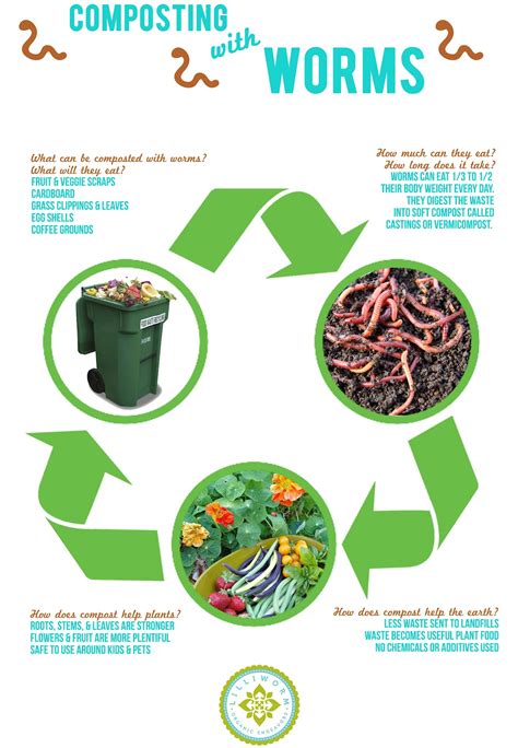 Lilliworm Organic Endeavors : Planning the Worm Display