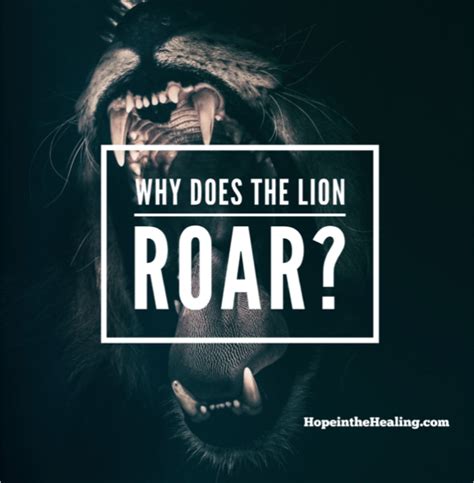 Why does the lion roar?