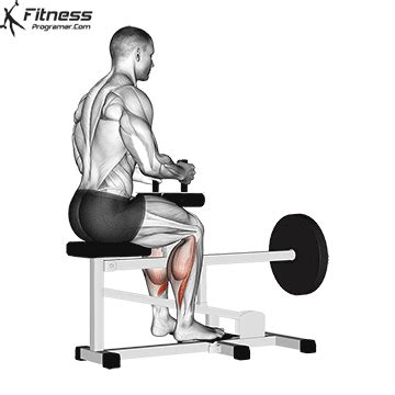 How To Do Lever Seated Calf Raise | Muscles Worked, Benefits