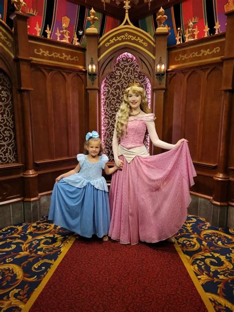 16 Best Places to Buy Disney Princess Dresses