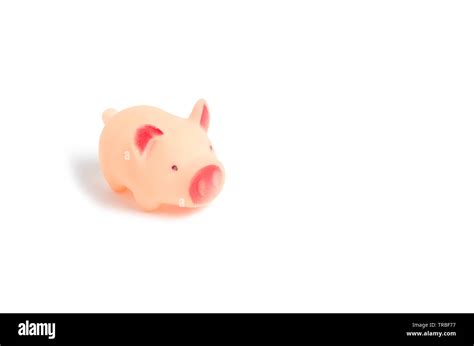 Little rubber, pink pig, toy on white background Stock Photo - Alamy