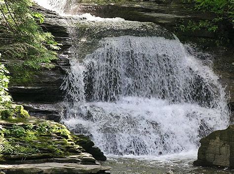 Ithaca Turns Dog Poo Into Compost | Inhabitat - Green Design ...