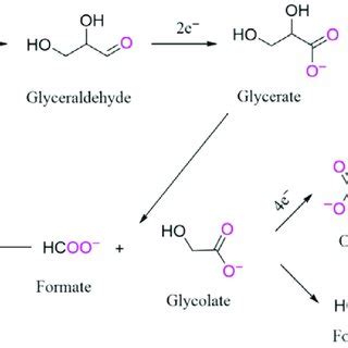 Plausible reaction mechanism and reaction intermediates for glycerol ...