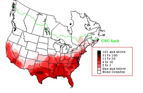 Northern Mockingbird - Early Winter Range Map