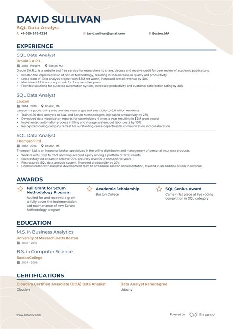 7 Data Analyst Resume Examples & Guide for 2023