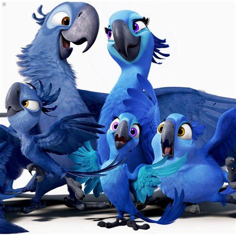 Blue birds' family - Rio - Have fun! Photo (36080087) - Fanpop