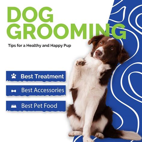 Discover the Best Dog Grooming Tips for a Healthy and Happy Pup ...