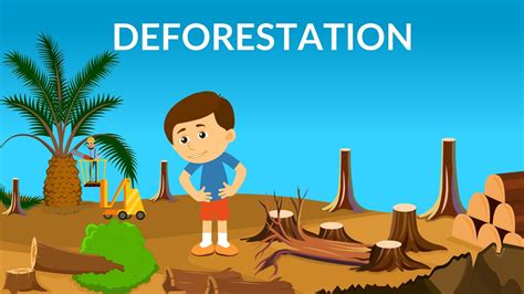 Deforestation | Causes, Effects & Solutions | Video for Kids - YouTube