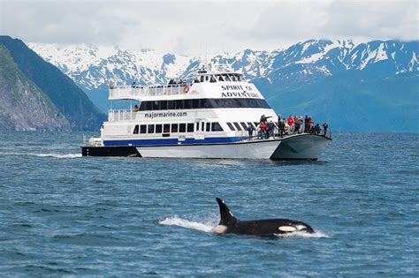 Kenai Fjords National Park Glacier & Wildlife Cruise