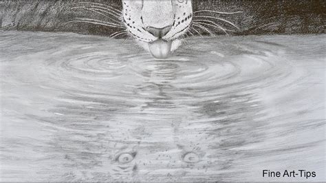 How to Draw a Reflection on Water - A Leopard Drinking Water - YouTube