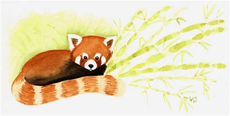 Red Panda watercolor by KassyNaVerdis on DeviantArt