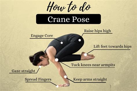 Crane Pose (Bakasana): Tips on how to Do, Advantages and Precautions ...