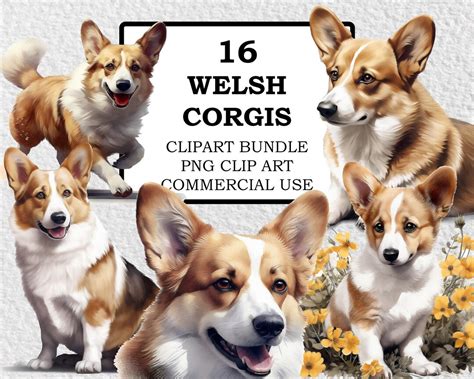 Welsh Corgi Clipart Welsh Corgi PNG Watercolor Welsh Corgi - Etsy